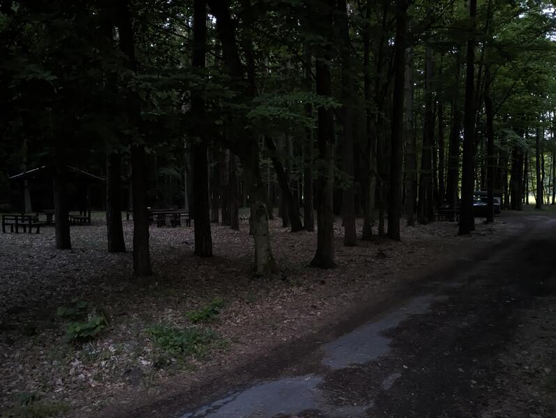 20250713_050605.jpg